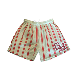 men Running shorts striped